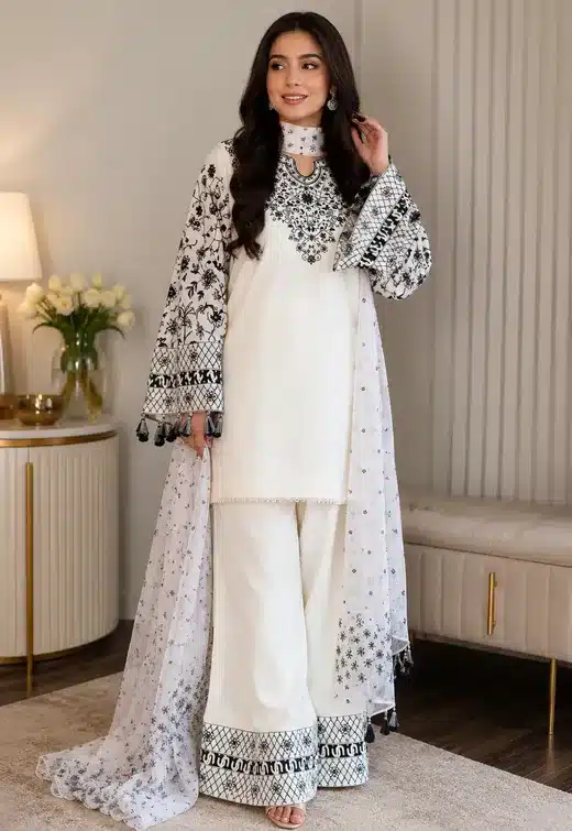 Women's Embroidered Salwar Suit Set